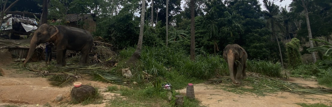 anllongan
